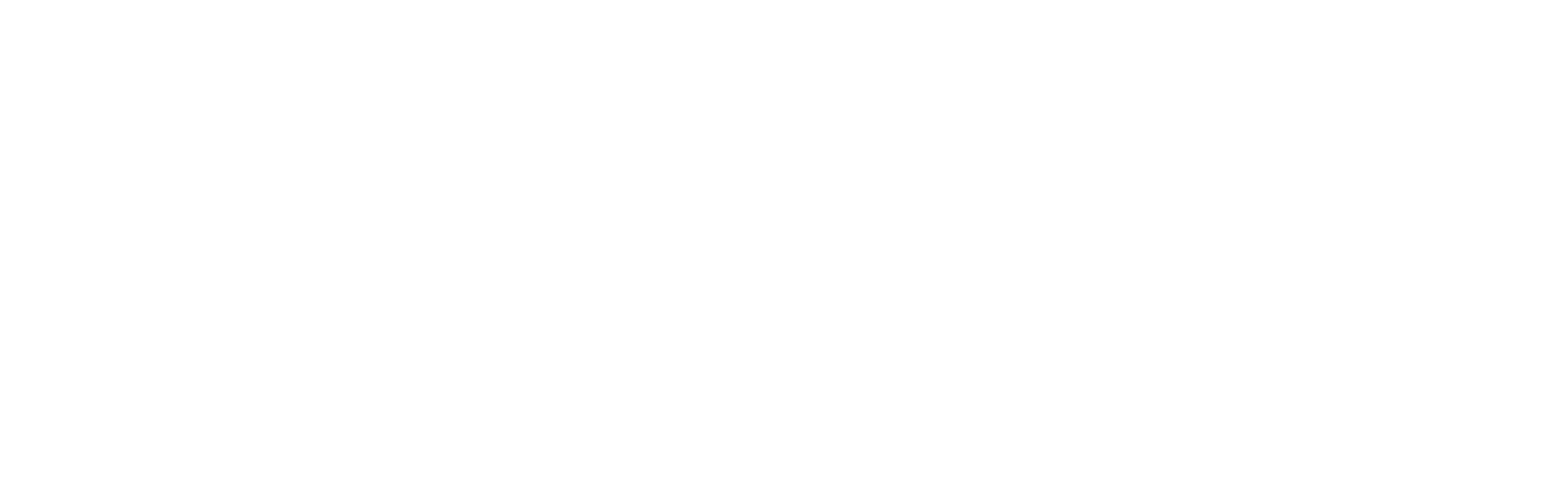 ViVeSec